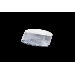 Mylar Film