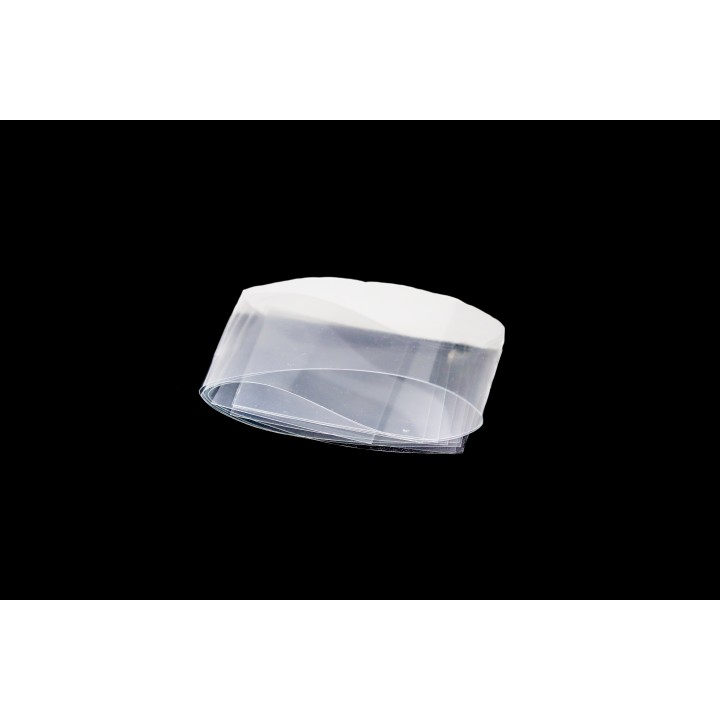 Mylar Film