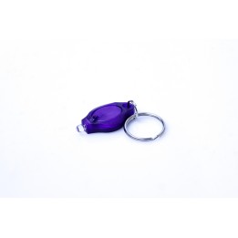 UV Key-chain 1 x LED (Plastic) 395nm