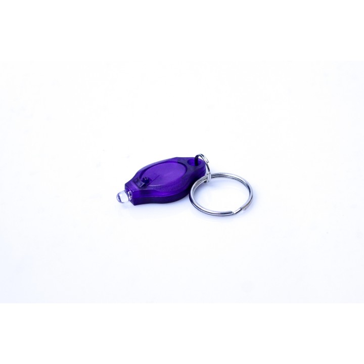 UV Key-chain 1 x LED (Plastic) 395nm