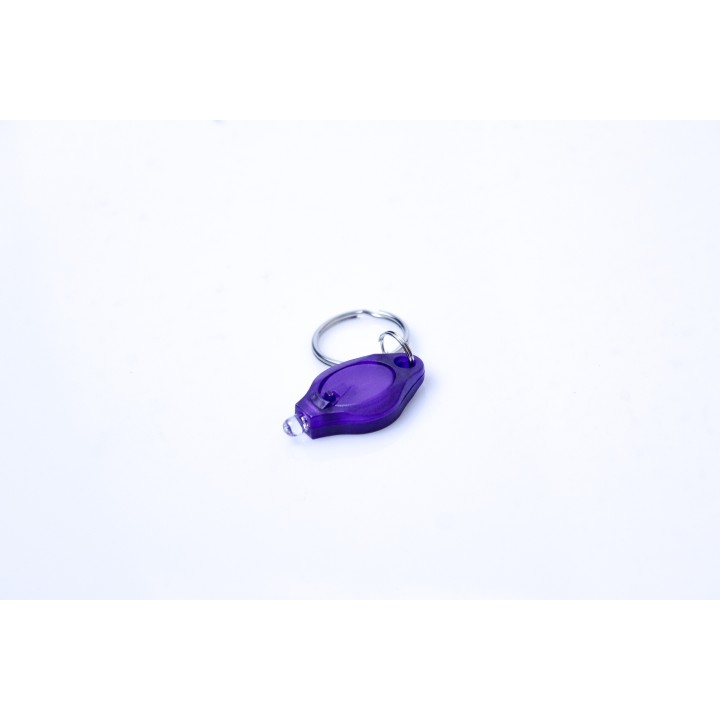 UV Key-chain 1 x LED (Plastic) 395nm