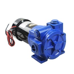 Meter Systems MS-YB11012V Yb110 12 Volt DC Pump 110 Lpm