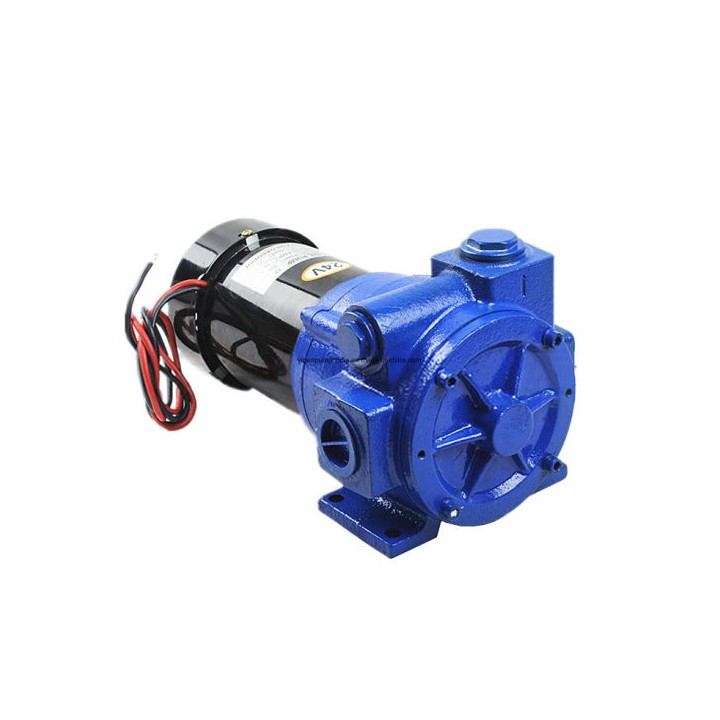 Meter Systems MS-YB11012V Yb110 12 Volt DC Pump 110 Lpm