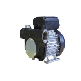 Meter Systems MS-YB100220V Yb100 220 Volt AC Pump 100 Lpm