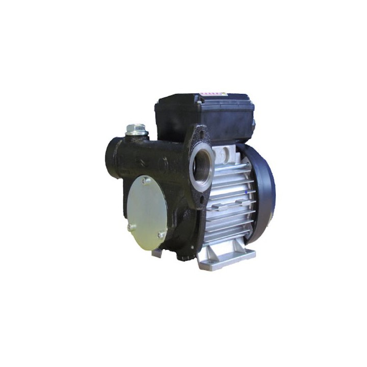 Meter Systems MS-YB100220V Yb100 220 Volt AC Pump 100 Lpm
