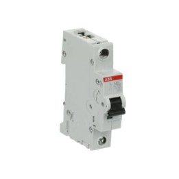 ABB Miniature Circuit Breaker Curve C 6-10kA 100A 6kA 6kA 230VAC-60VDC (S201-C100)