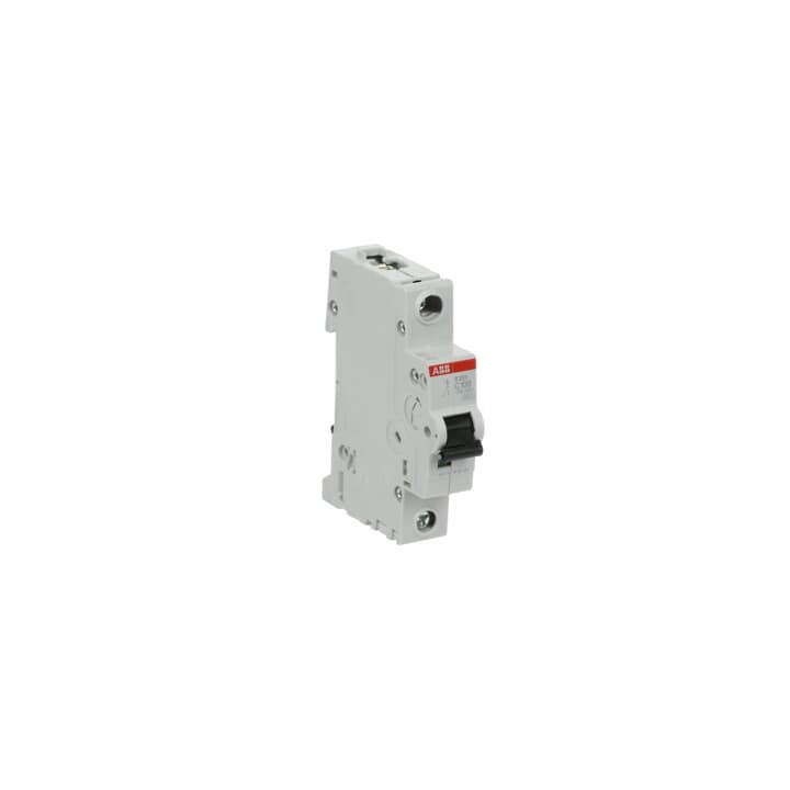 ABB Miniature Circuit Breaker Curve C 6-10kA 100A 6kA 6kA 230VAC-60VDC (S201-C100)