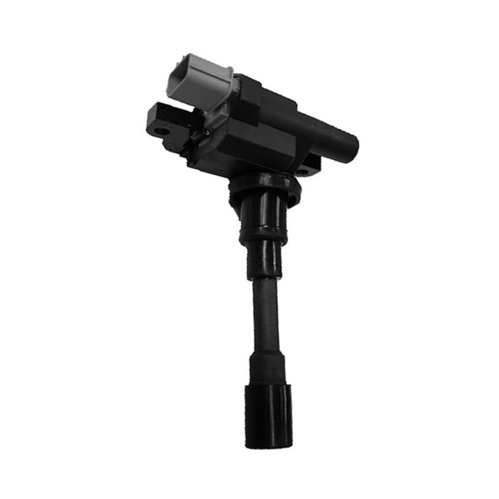 Echlin IC02 Ignition Coil - Electronic - Cherry Tiggo
