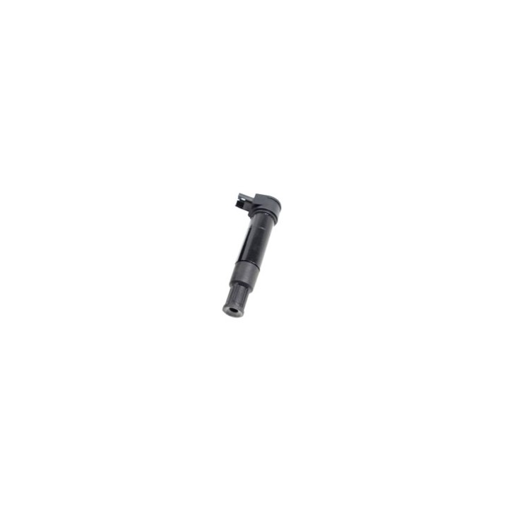 Echlin IC012 Ignition Coil - Electronic - BMW R1200Gs/Lt/Rt