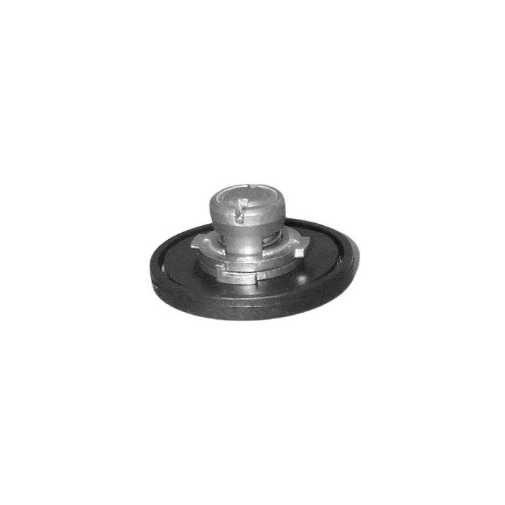 Echlin 1538 FUEL CAP LOCKING - NISSAN VENTILATED