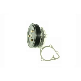 Echlin QCP9000 Water Pump - Mitsubushi Triton 2.5 (4D56)