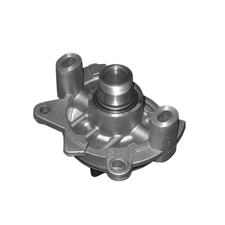Echlin QCP3520 Water Pump - Renault G8T