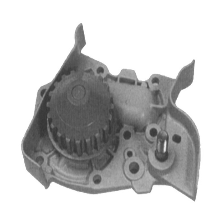 Echlin QCP3228 Water Pump - Renault 1.4 E7J5