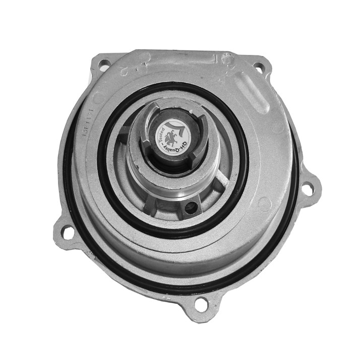 Echlin QCP3646 Water Pump - Landrover Td5