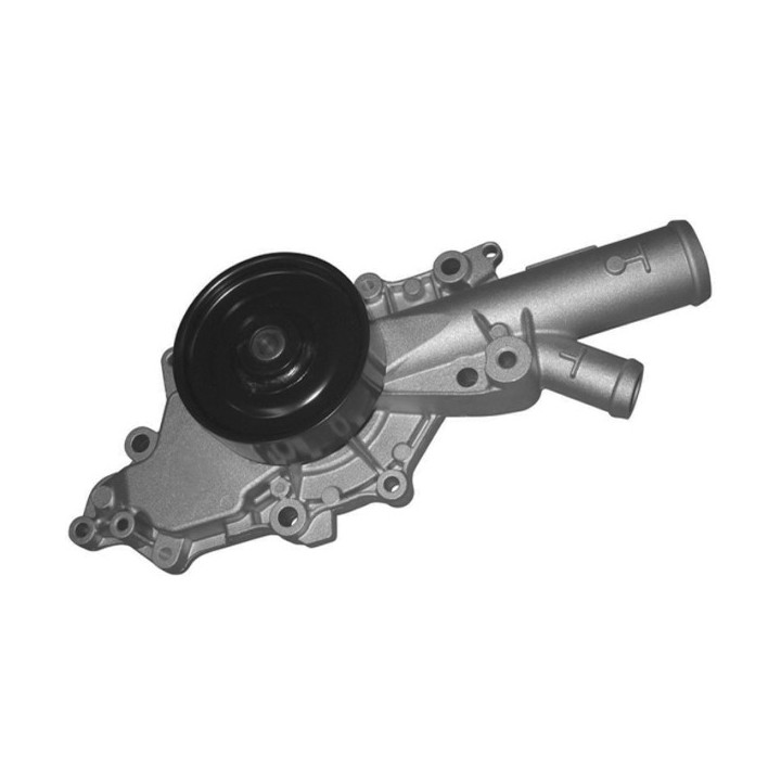 Echlin QCP3569 Water Pump - Mercedes Om647