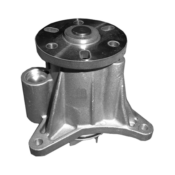 Echlin QCP2002 Water Pump - Landrover Disco 2.7 Tdv6
