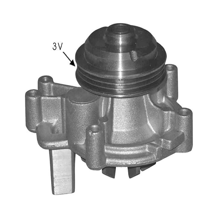 Echlin QCP3376 Water Pump - Peugeot Boxer Dj5