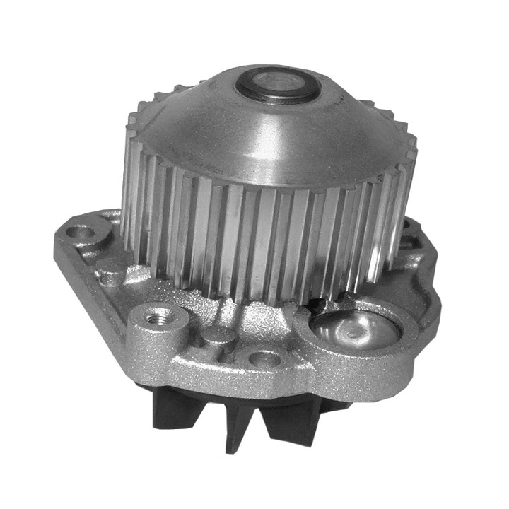 Echlin QCP3541 Water Pump - Peugeot/Renault/Citroen Es9J4