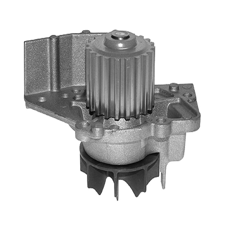 Echlin QCP3391 Water Pump - Peugeot 206/307/406/Boxer/Citroen Berlingo