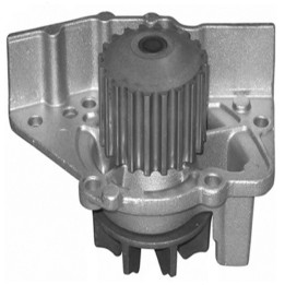 Echlin QCP3421 Water Pump - Peugeot Boxer Xud9Av