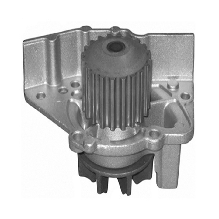 Echlin QCP3421 Water Pump - Peugeot Boxer Xud9Av