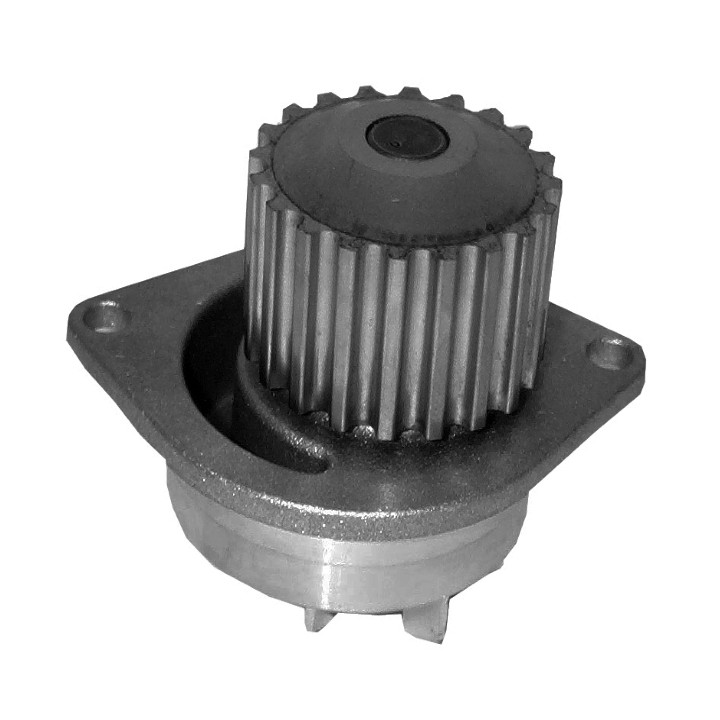 Echlin QCP7117 Water Pump - Peugeot 206 Tu5Jp
