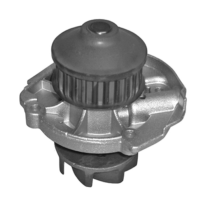 Echlin QCP3141 Water Pump - Fiat 1.1 24T 59.24Mm