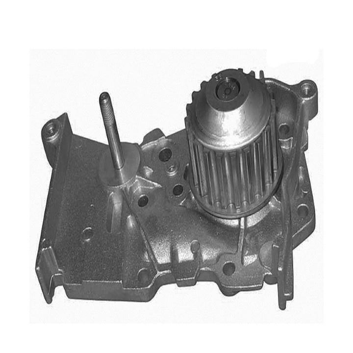 Echlin QCP3389 Water Pump - Renault K4J