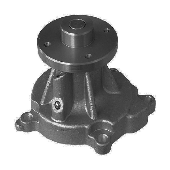 Echlin QCP4058 Water Pump - Nissan Ldv 2.0L Na20/Ka20