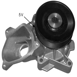 Echlin QCP3559 Water Pump - BMW 3 Series M47204D1 (5Pk)