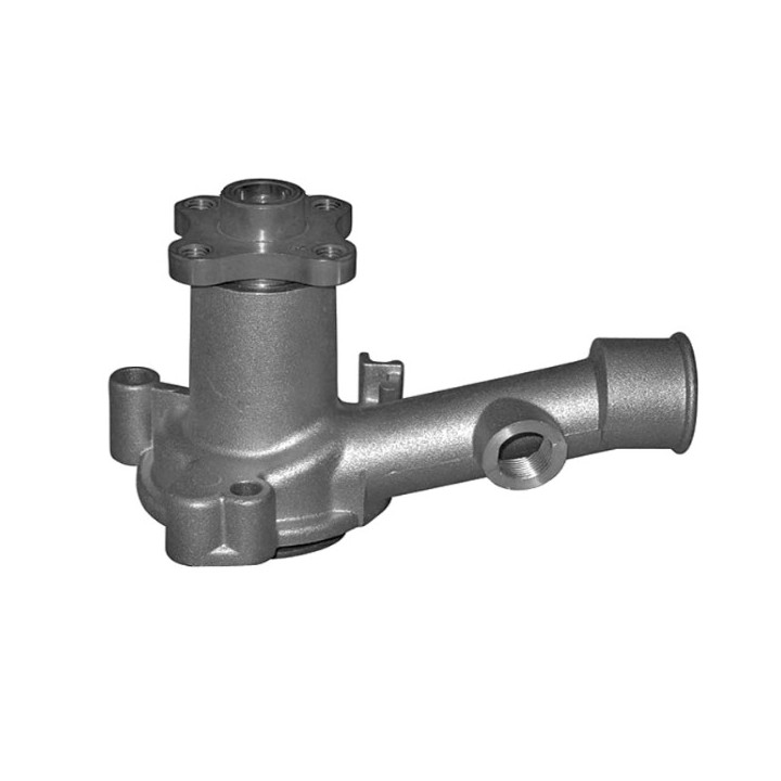 Echlin QCP730 Water Pump - Ford Kent 1.3/1.6