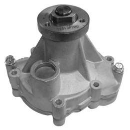 Echlin QCP1407 Water Pump - Jaguar Ajv8 Bc Dc