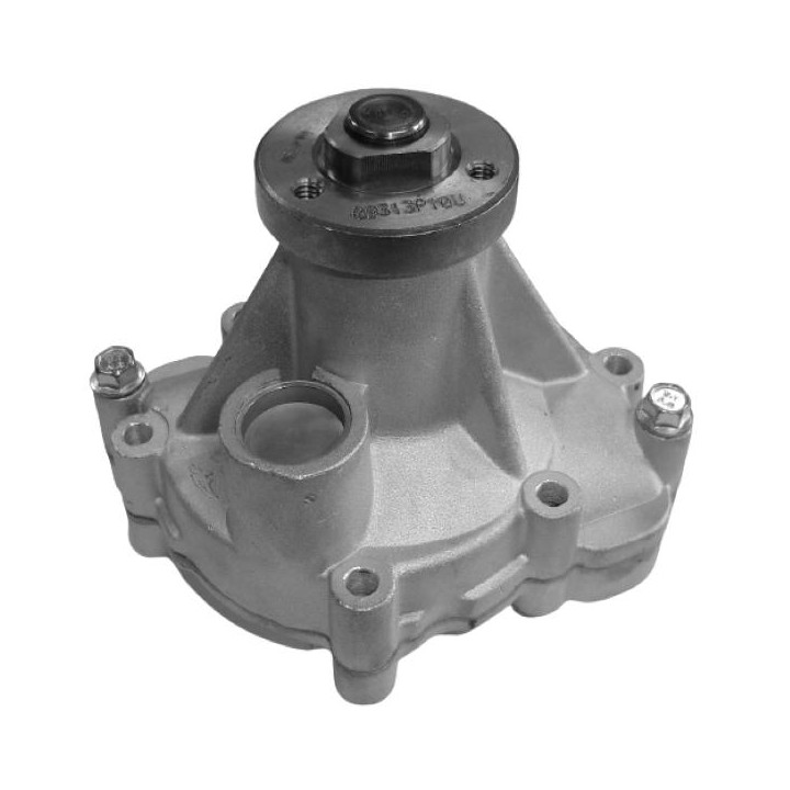 Echlin QCP1407 Water Pump - Jaguar Ajv8 Bc Dc