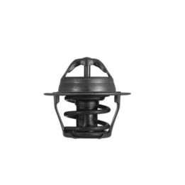 Echlin 5474 THERMOSTAT - 74 DEG C - FORD/ISUZU/MAZDA/NISSAN