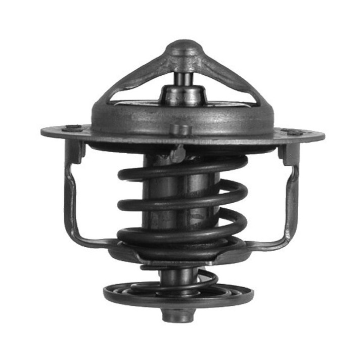 Echlin 2290 THERMOSTAT - 76 DEG C - NISSAN SENTRA