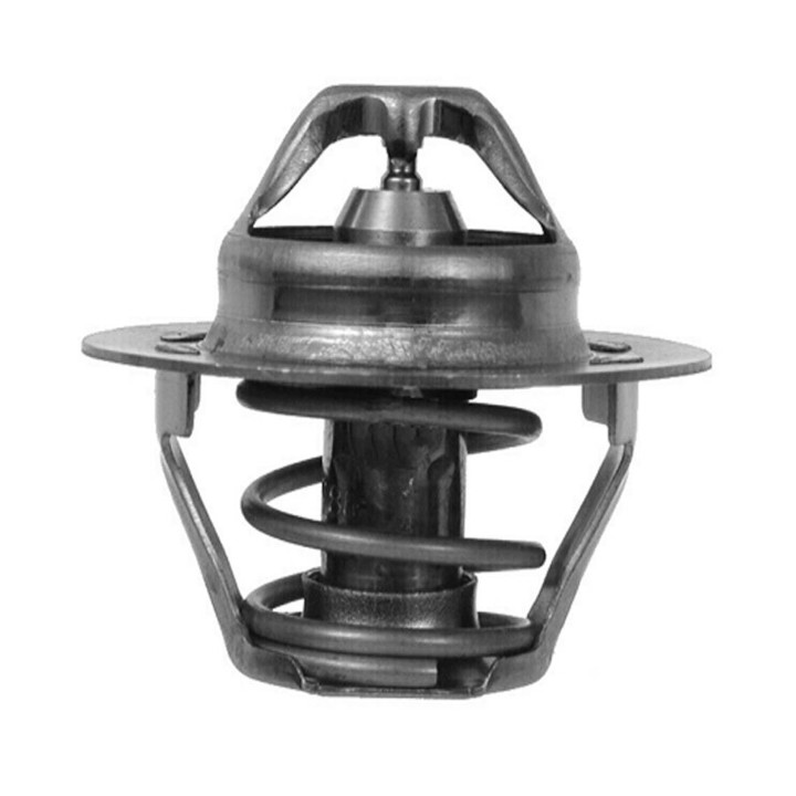 Echlin 2142 THERMOSTAT - 89 DEG C - RENAULT CLIO/LEGUNA/MEGANE/SCENIC