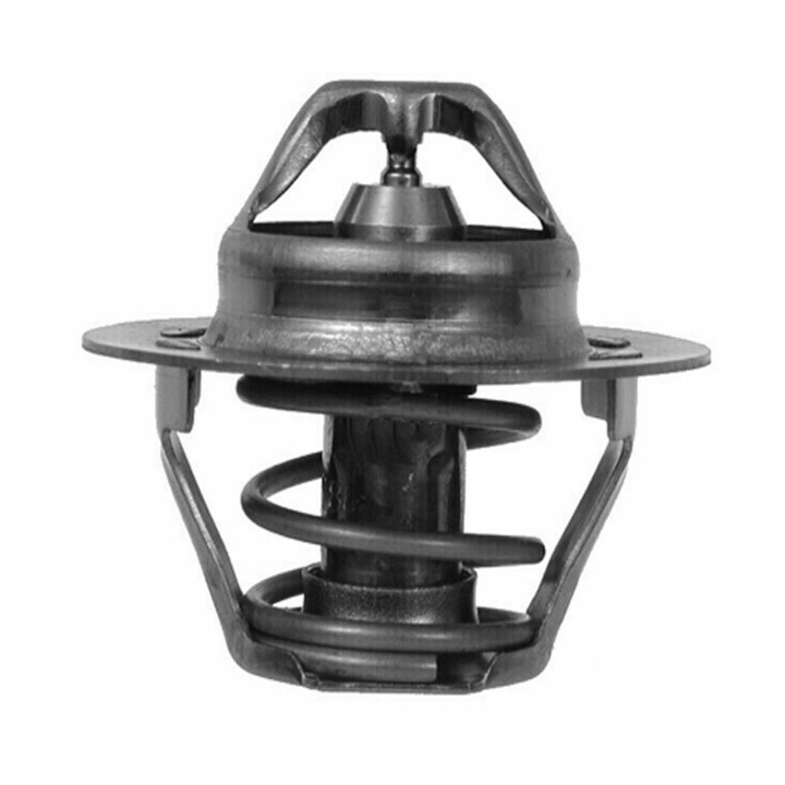 Echlin 2141 THERMOSTAT - 89 DEG C - RENAULT LAGUNA/MEGANE/SCENIC