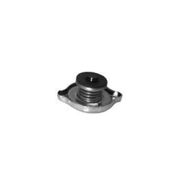 Echlin T3-4 RADIATOR CAP - 0.28 BAR UNIVERSAL 19.4 FILLER NECK DOU