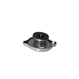 Echlin T3-18 RADIATOR CAP - 1.24 BAR - UNI 19.4MM FILLER NECK DOUBLE SEAL
