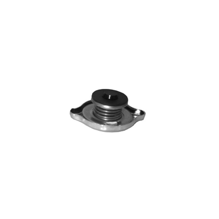 Echlin T3-16 RADIATOR CAP - 1.10 BAR - UNI 19.4 FILLER NECK DOUBLE SEAL