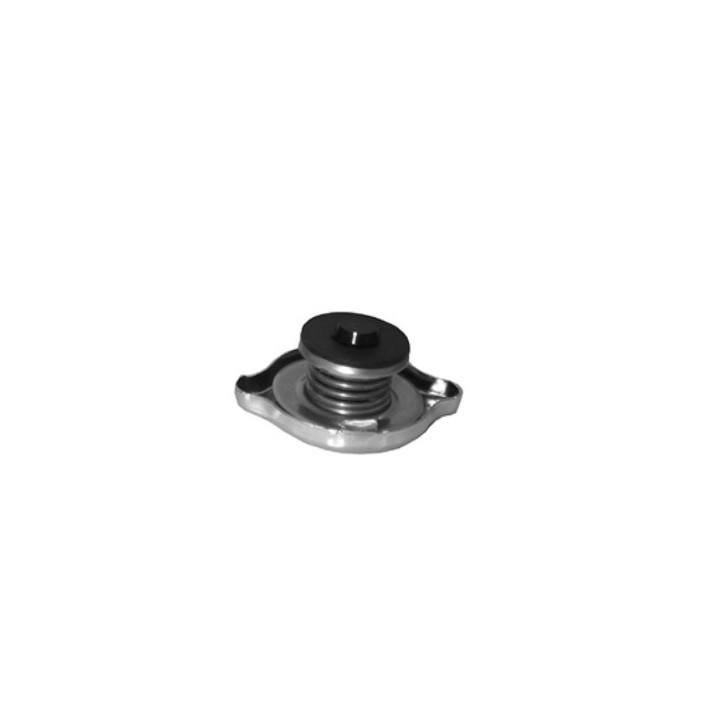 Echlin T3-13 RADIATOR CAP - 0.90 BAR - UNI 19.4 FILLER NECK DOUBLE SEAL