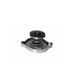 Echlin T1-13 RADIATOR CAP - 0.90 BAR - UNI 25.4 FILLER NECK DOUBLE SEAL