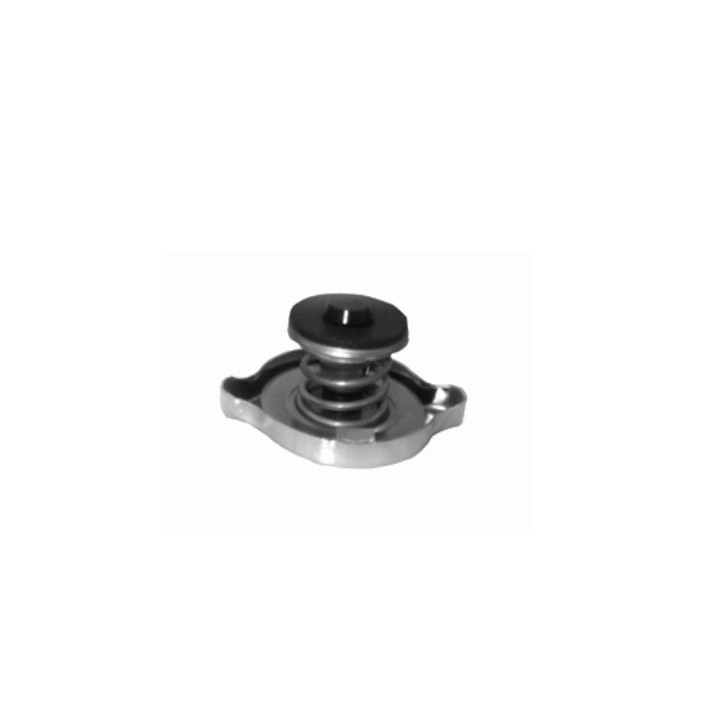 Echlin T1-13 RADIATOR CAP - 0.90 BAR - UNI 25.4 FILLER NECK DOUBLE SEAL