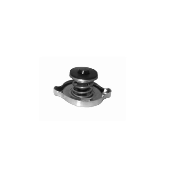 Echlin T1-10 RADIATOR CAP - 0.69 BAR - UNI 25.4 FILLER NECK SINGLE SEAL