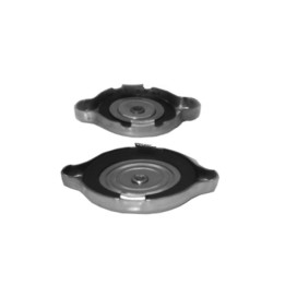 Echlin N1 BLANK OFF CAP - NIPPY TYPE