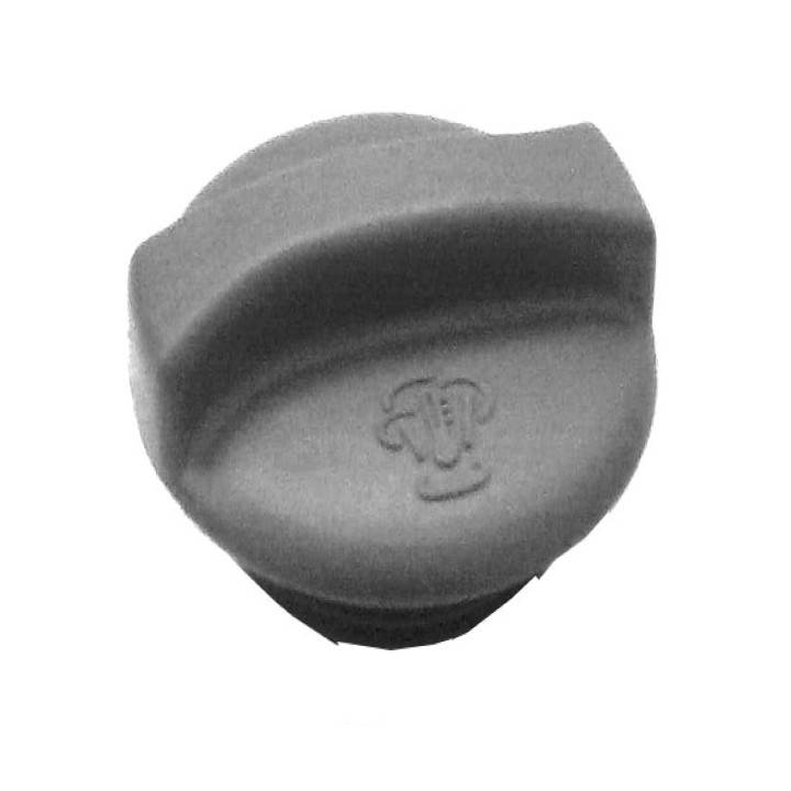 Echlin TP1-20 EXPANSION TANK CAP - 140KPA - VW GOLF/JETTA/POLO