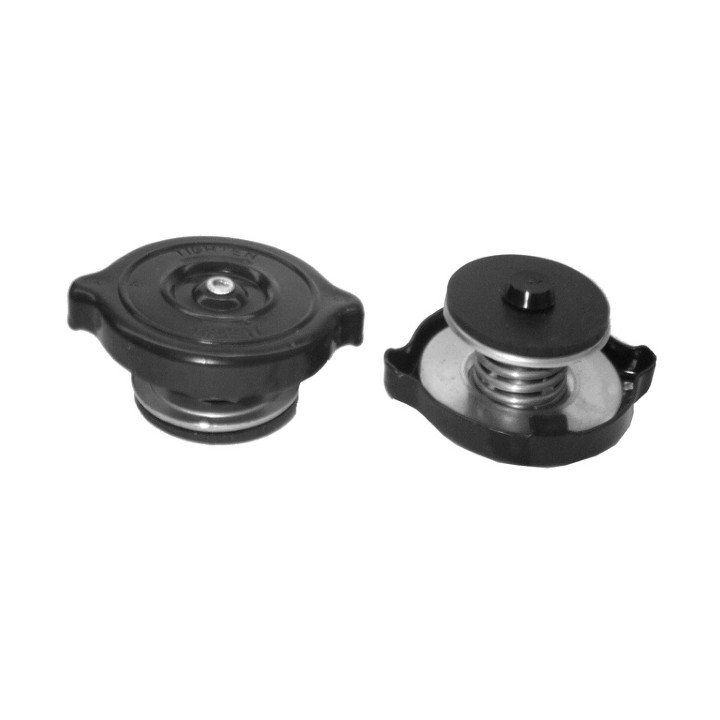 Echlin TG3-16 RADIATOR CAP - 1.10 BAR - UNIVERSAL DOUBLE SEAL