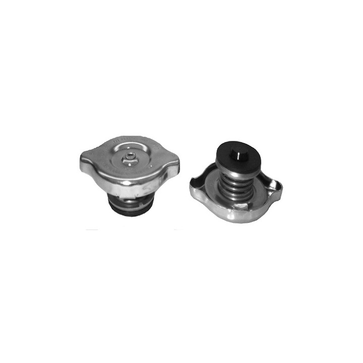 Echlin T3-10 RADIATOR CAP - 0.69 BAR - UNI 19.4 FILLER NECK DOUBLE SEAL