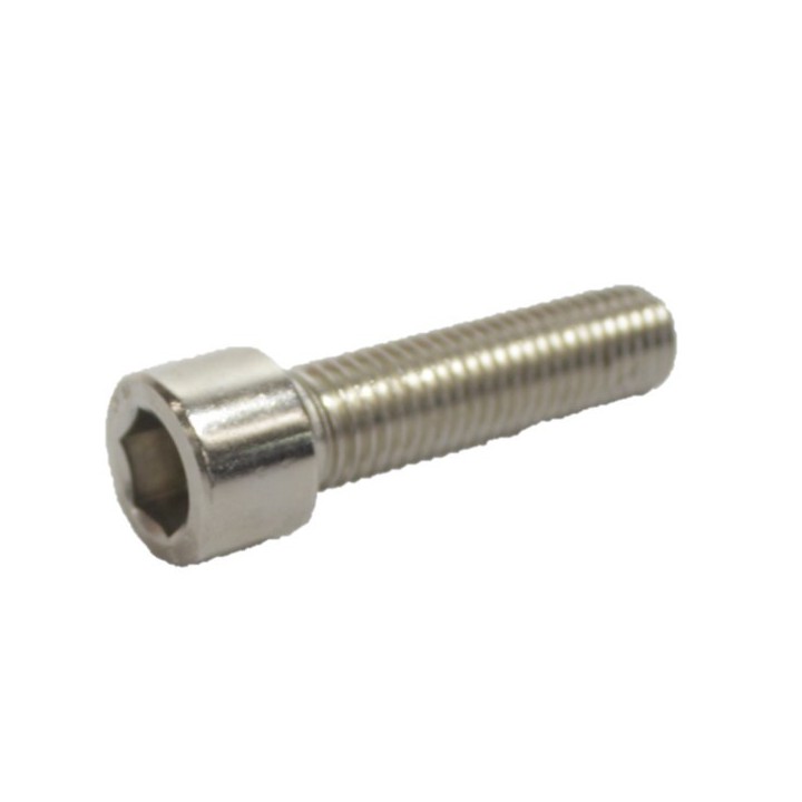 Pneumatix DNC100-S-HSS Cyl - Dnc Hex Socket Screw (Use Se Version)