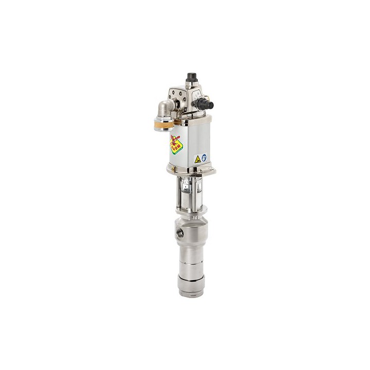 Raasm 124DT/51 Divorced Pump In Aisi 304 Stainless Steel S.1200, R 5:1 - 55 L/Min